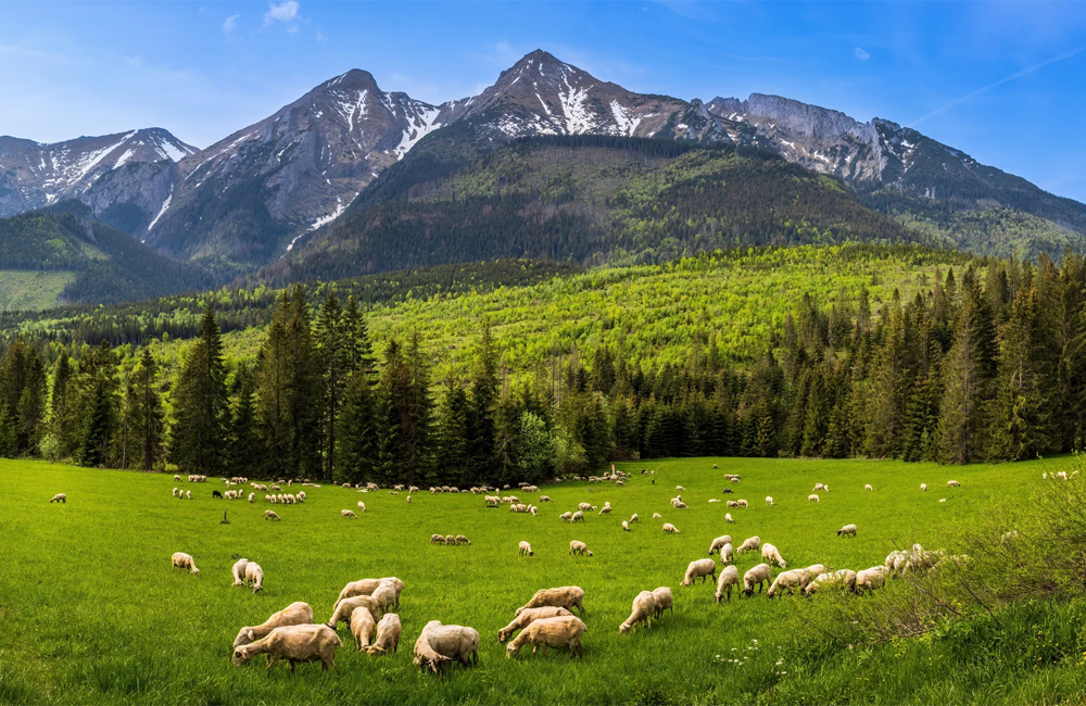Kam na turistiku v Ždiari a okolí